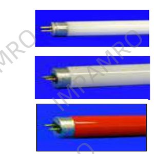 125508 Fluorescent lamps