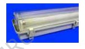 126150 Watertight lighting fittings (IP65), base: reinforced polyester, shade clear methacrylic 24 Volt DC