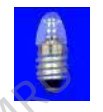 202906 Lens-end lamps