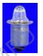 Lens-end lamps