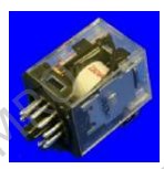442108 Relays, plug-in, with 8 pins (2-pole c/over), 10A