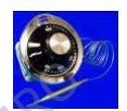 Domestic Equipment - Thermostat for cooking ranges
