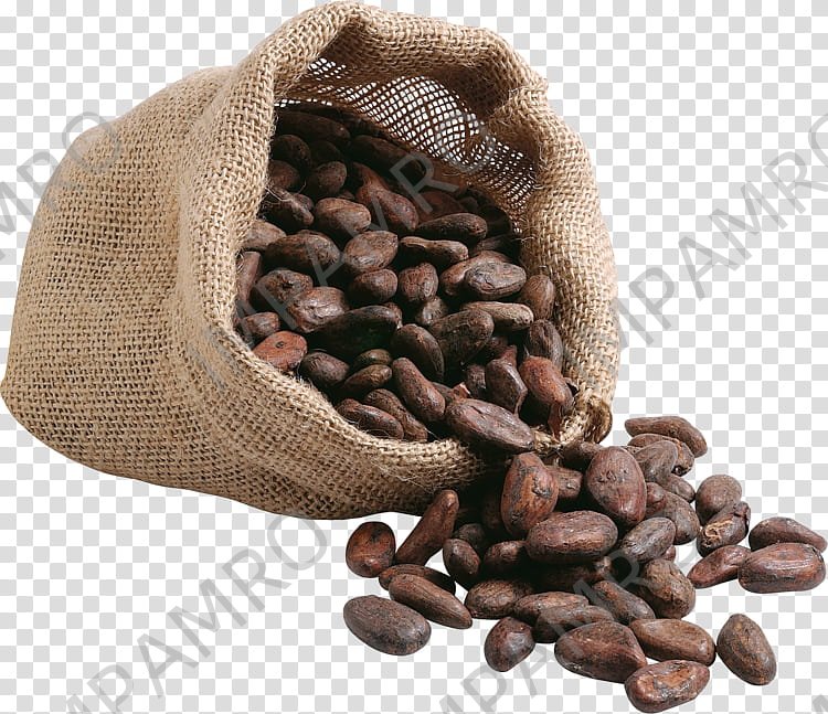 004201 COFFEE BEANS FOR ICED COFFEE