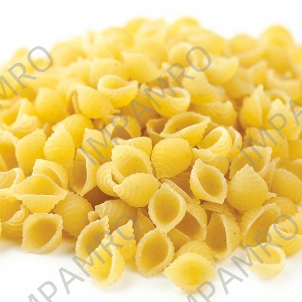 004422 MACARONI SHELL BULK
