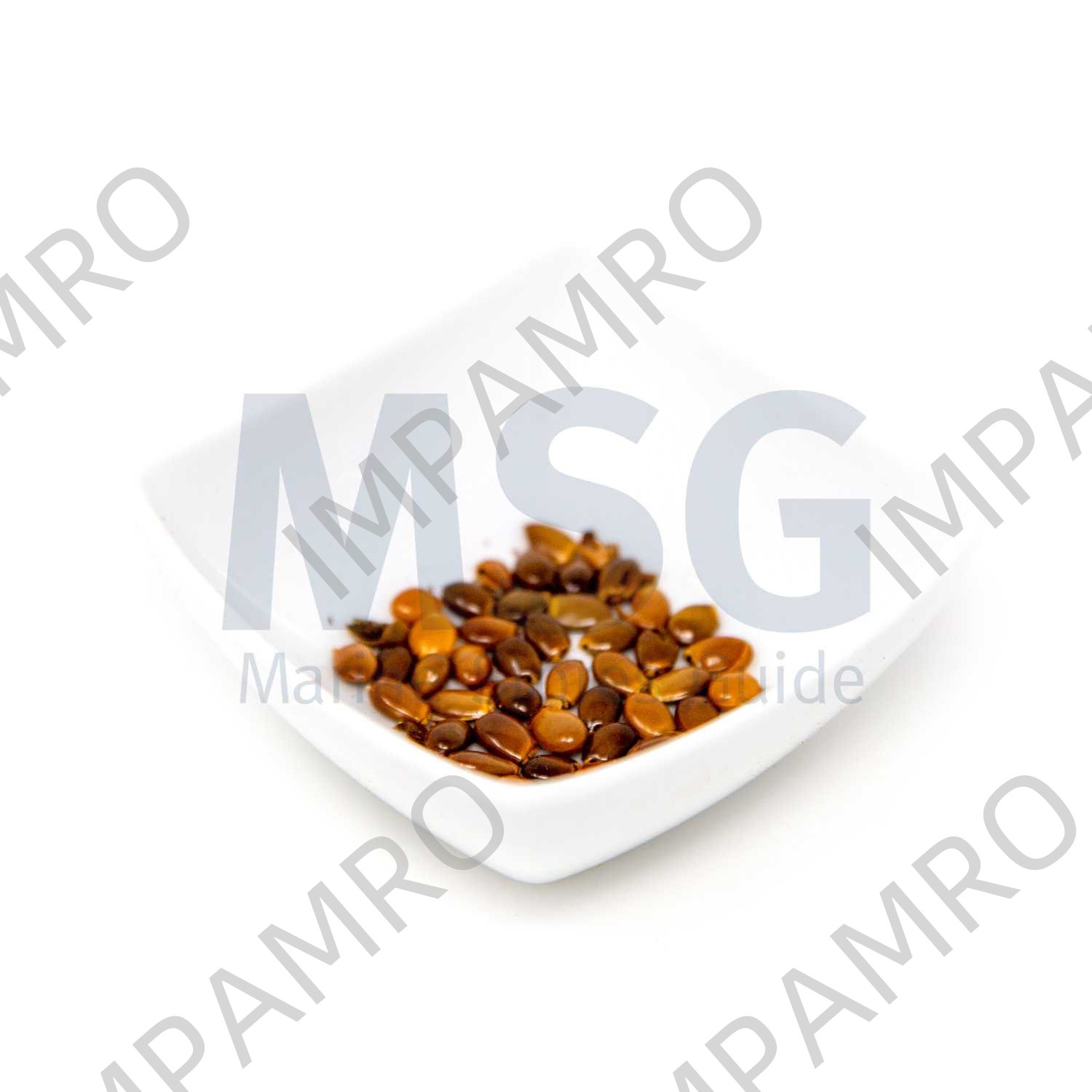006403 ANISEED WHOLE