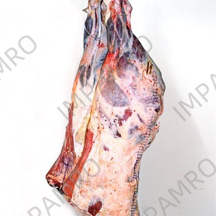 BEEF HINDQUARTER