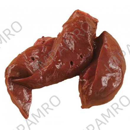 LAMB LIVER FROZEN