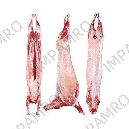LAMB CARCASS