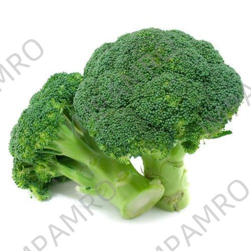 000109 BROCCOLI FRESH