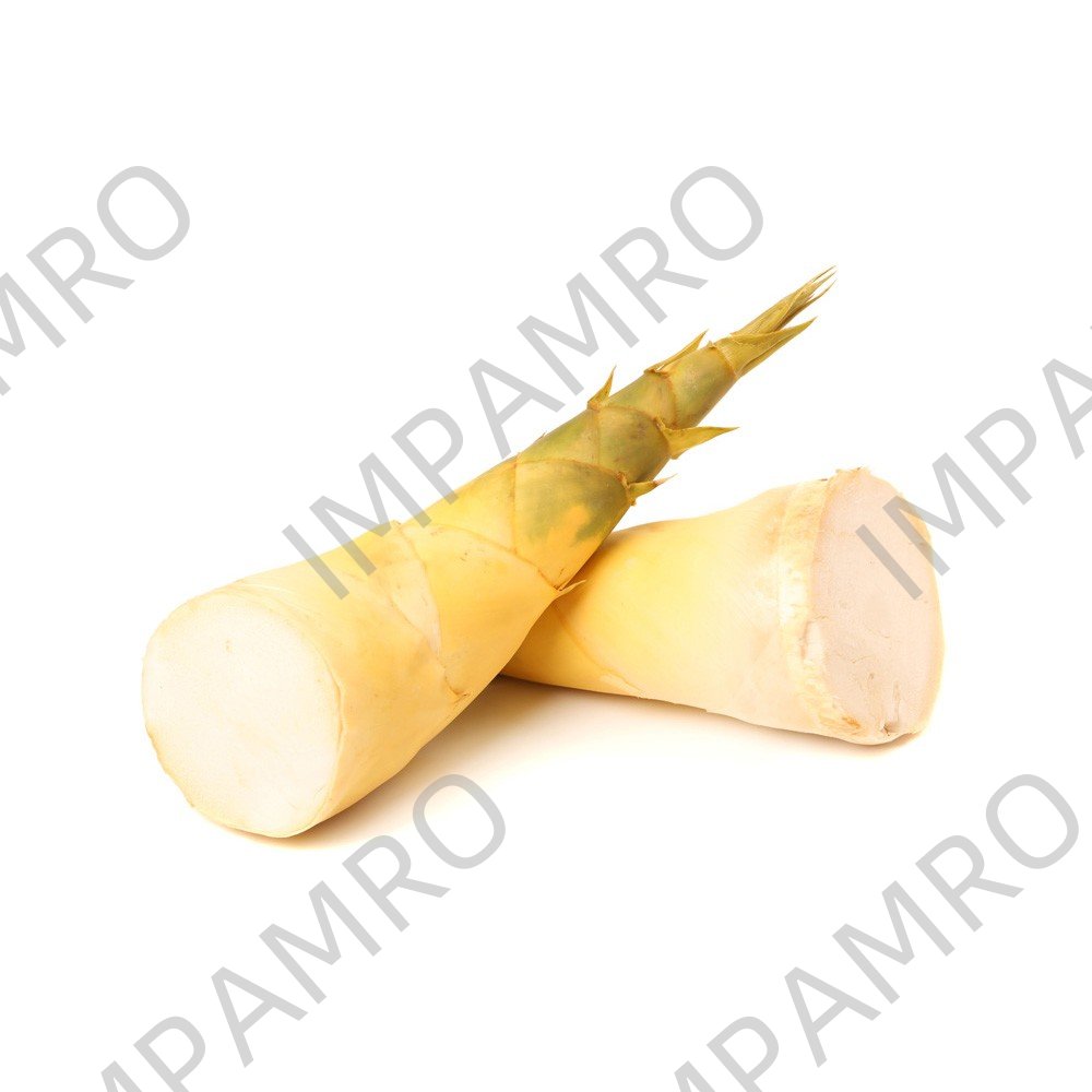 000103 BAMBOO SHOOT FRESH