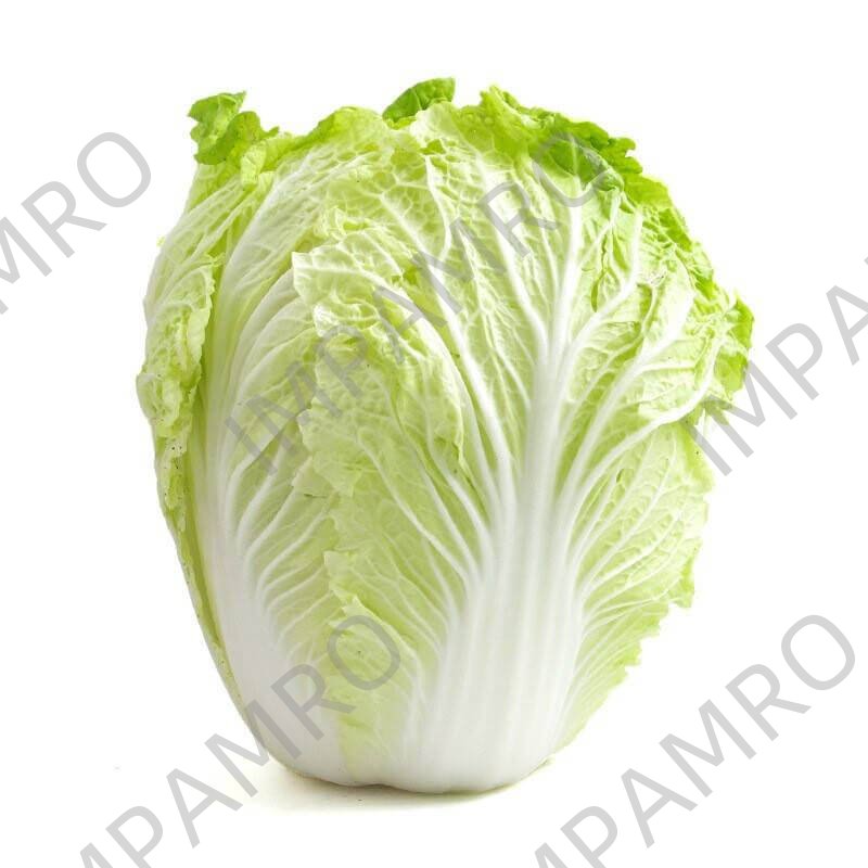 000114 CABBAGE CHINESE FRESH