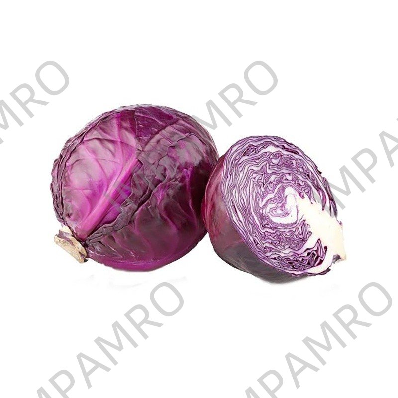 000116 CABBAGE RED FRESH