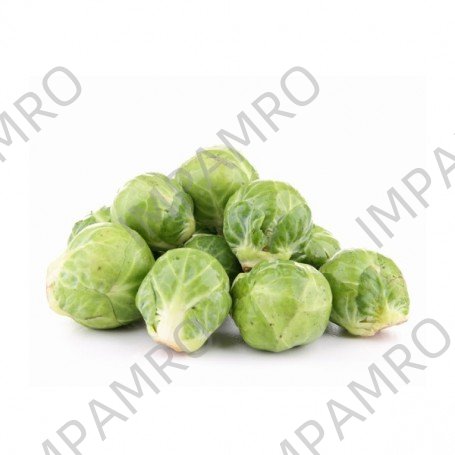 000110 BRUSSELS SPROUT FRESH
