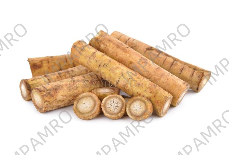 000111 BURDOCK (GOBO) FRESH