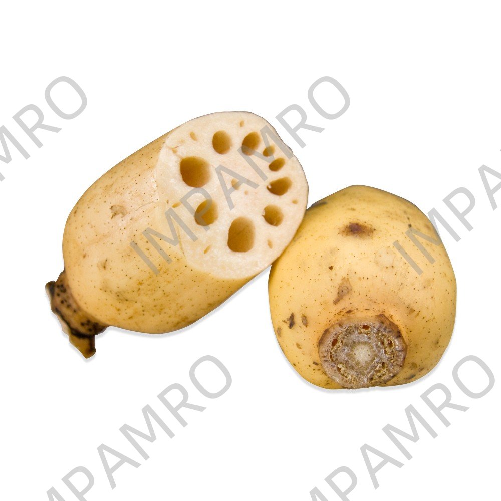 000145 LOTUS ROOT FRESH
