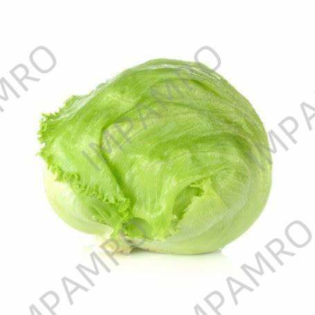 000141 LETTUCE ICEBERG FRESH