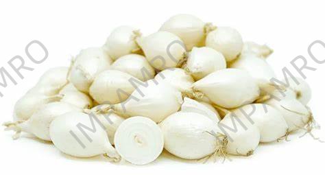 000157 ONION WHITE SMALL FRESH