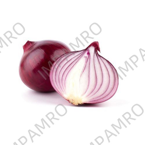 000159 ONION RED DRY