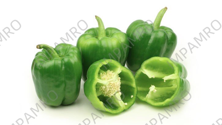 000165 PEPPER BELL GREEN FRESH