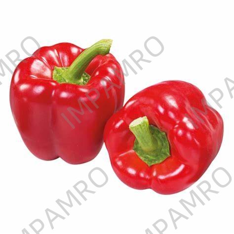 000166 PEPPER BELL RED FRESH