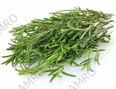 000177 ROSEMARY FRESH