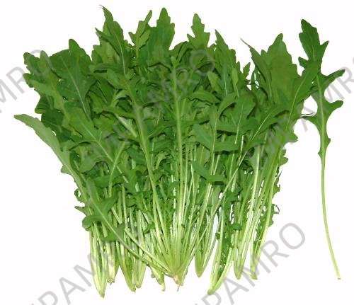 000178 RUCOLA (ROCKET) WHOLE FRESH