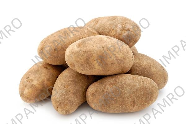 000170 POTATO LARGE BAKING RUSSET