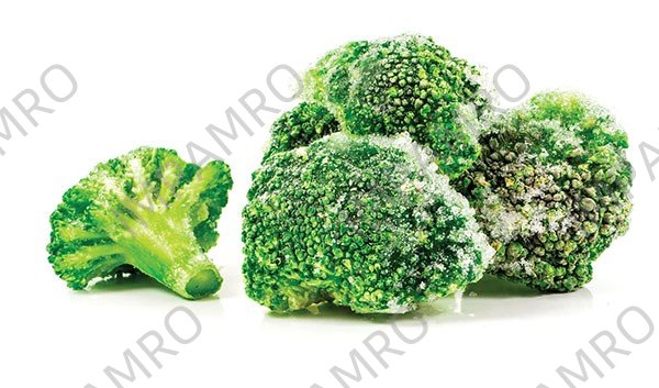 000315 BROCCOLI FROZEN