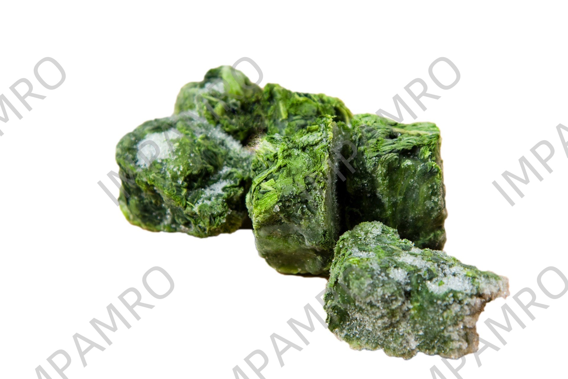 000348 SPINACH FROZEN