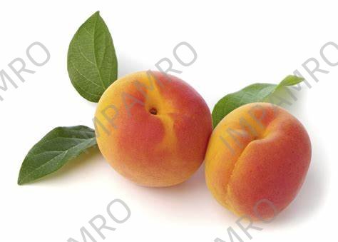 000515 APRICOT FRESH