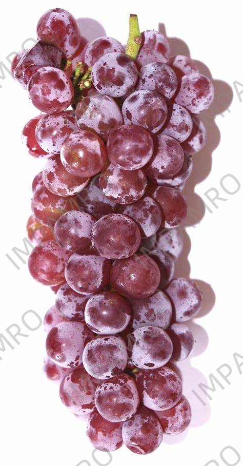 000527 GRAPE DELAWARE FRESH