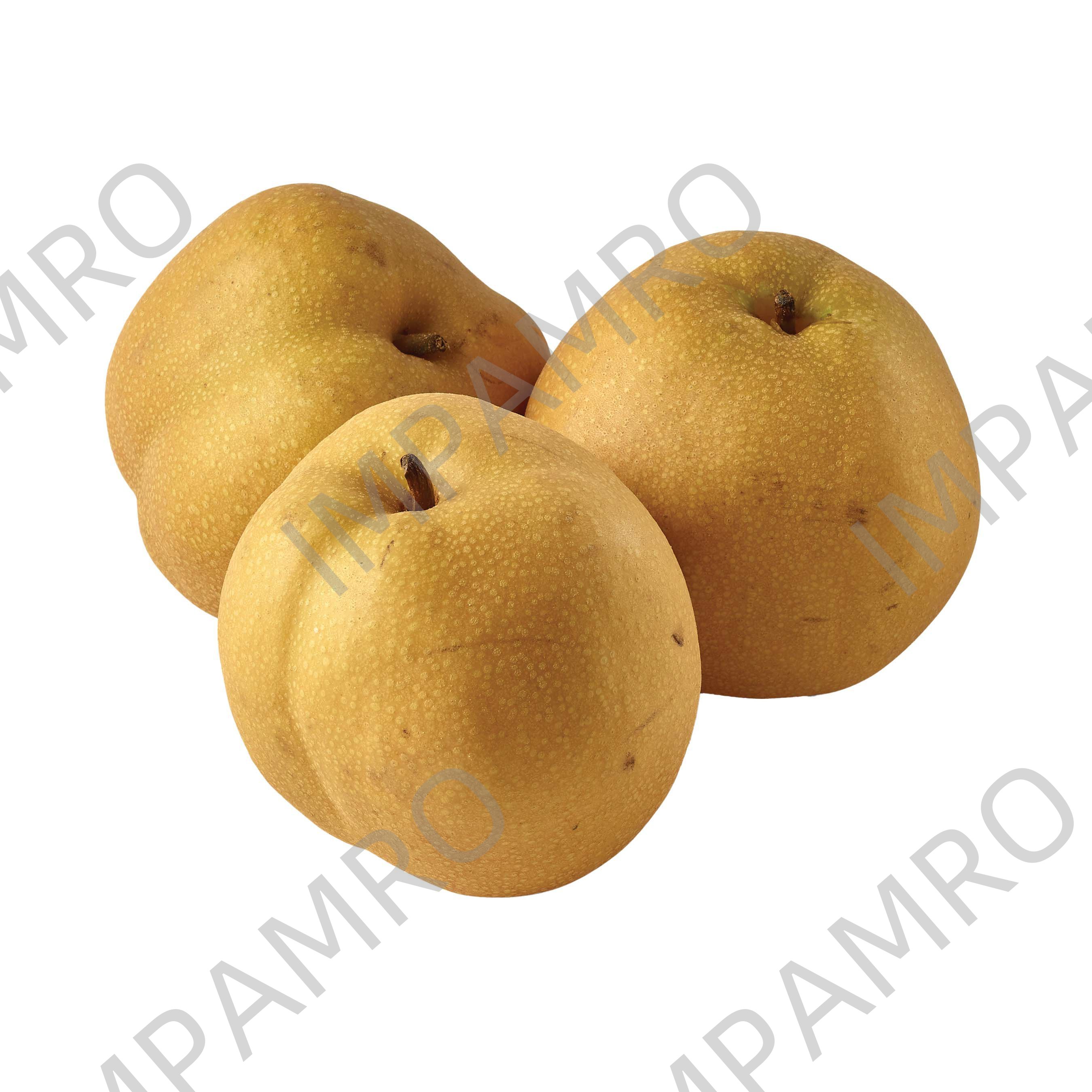 000561 PEAR JAPANESE FRESH