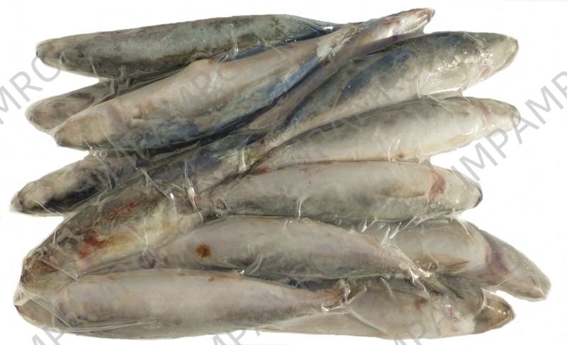 000710 EEL WHOLE FROZEN