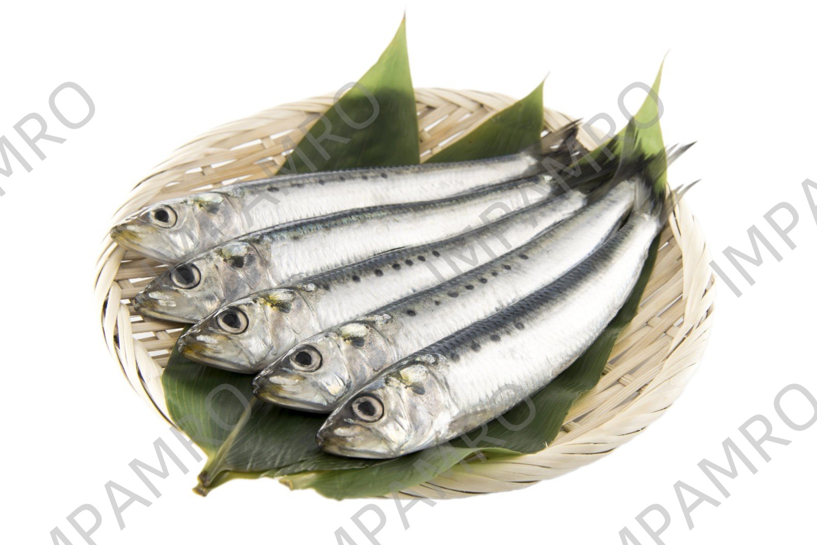 000750 SARDINE FROZEN