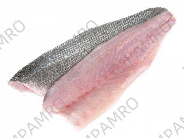 000752 SEABASS FILLET FROZEN
