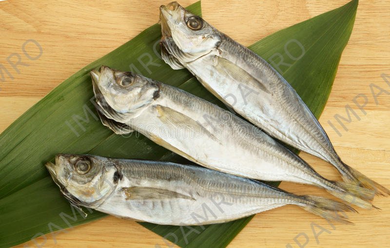 000928 MACKEREL DRIED