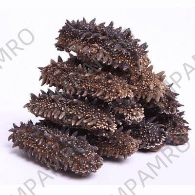 000948 SEA CUCUMBER (TREPANG) DRIED