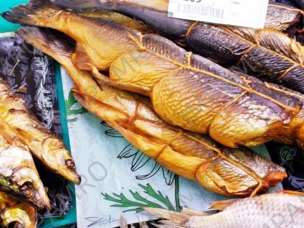 000955 TROUT SALTED (SHIOMASU)