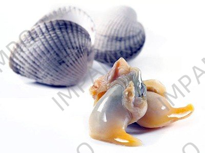001109 COCKLE (TORIGAI) WO SHELL