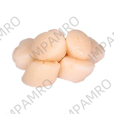 001117 SCALLOP FROZEN