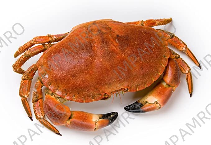 001121 CRAB WHOLE FROZEN