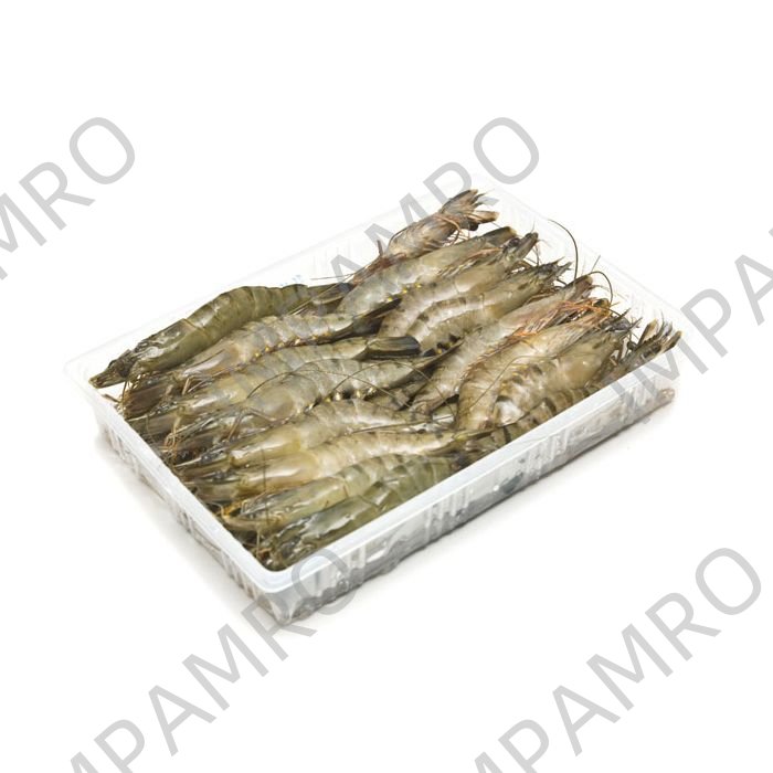001138 SHRIMP WHOLE FROZEN