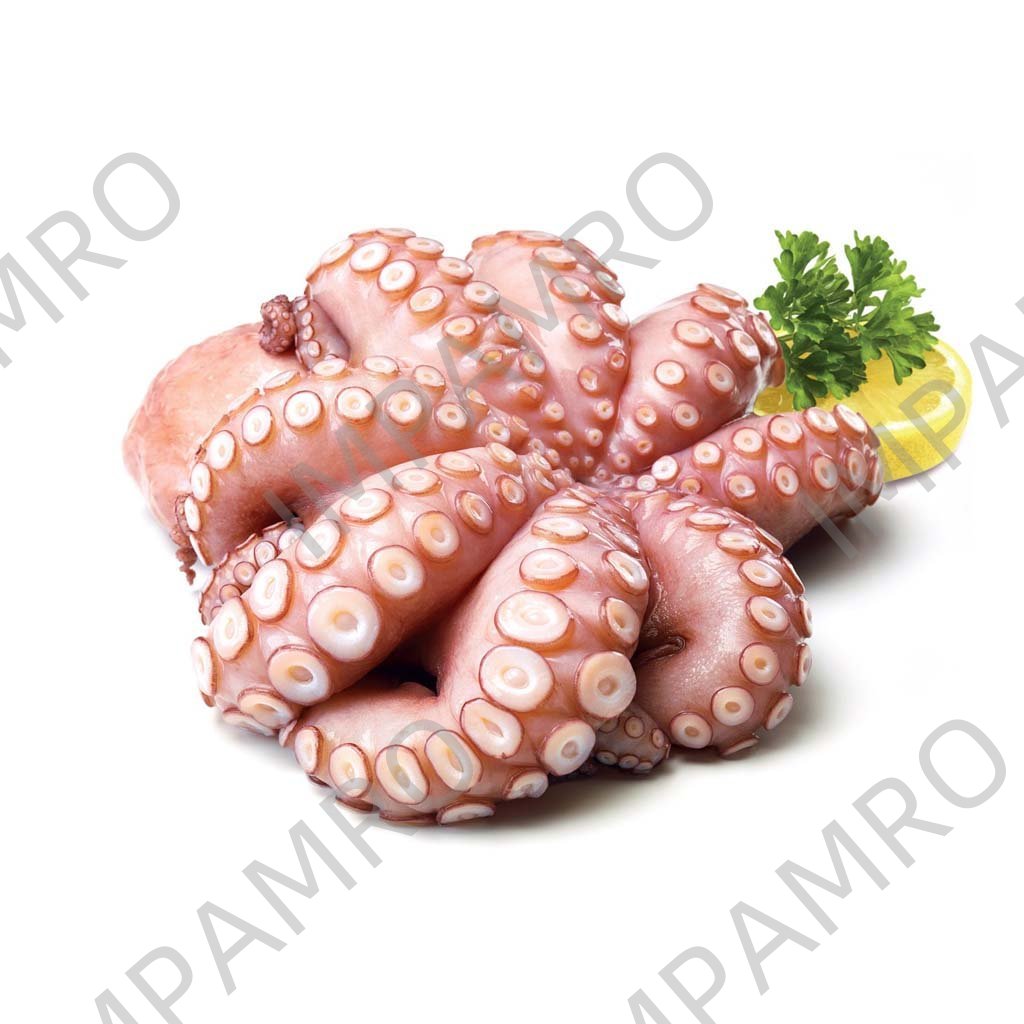 001159 OCTOPUS BOILED FROZEN