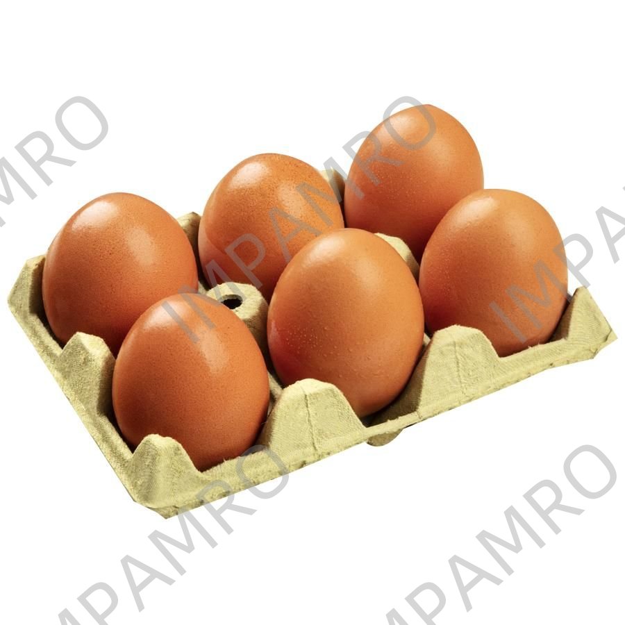 001701 EGG FRESH MEDIUM