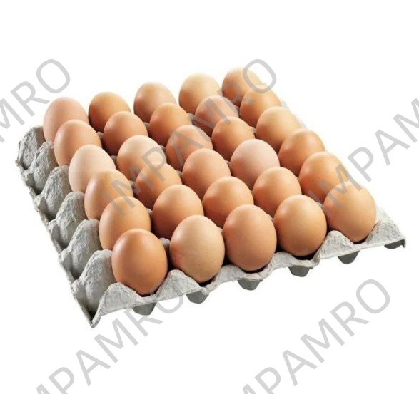 001702 EGG FRESH LARGE