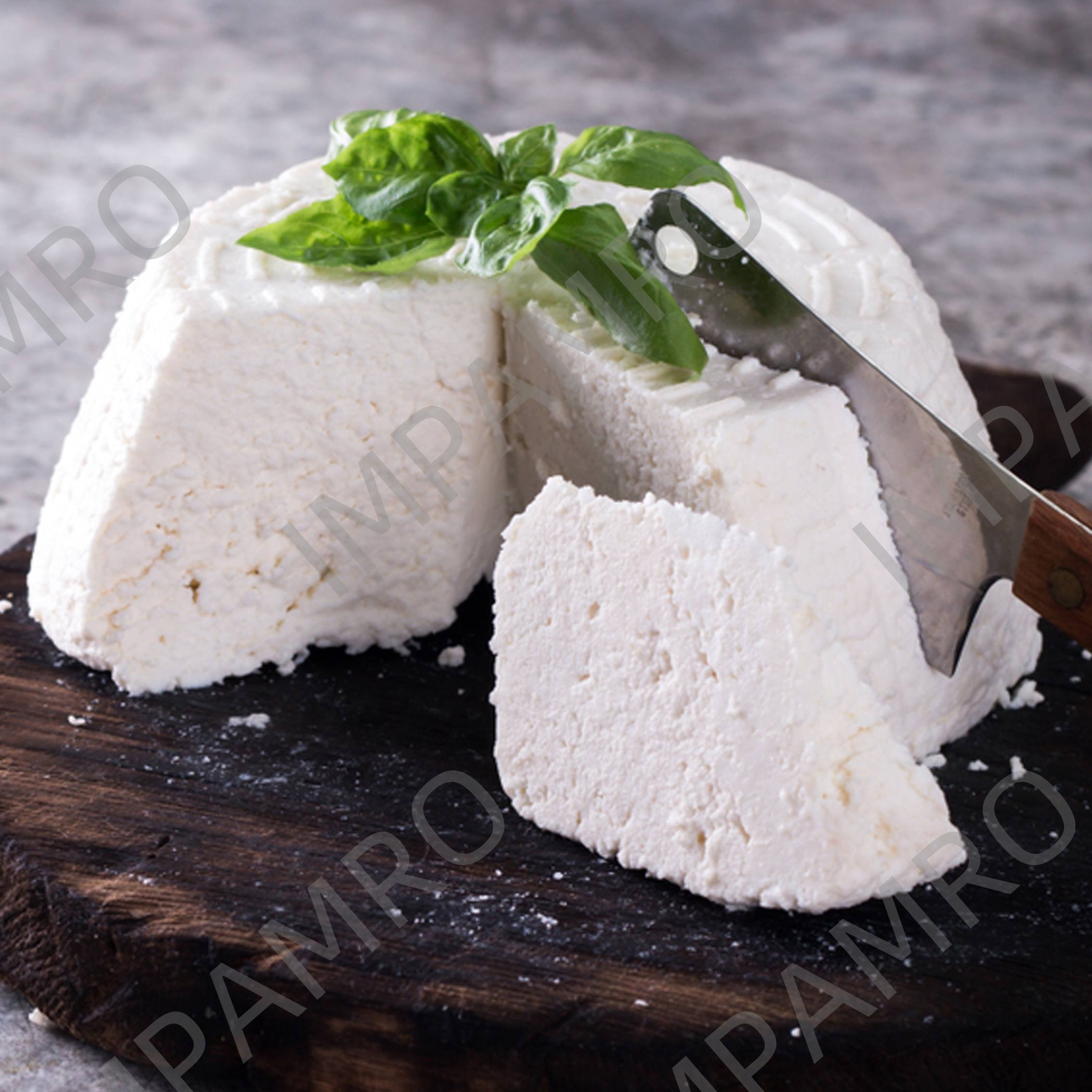 CHEESE RICOTTA