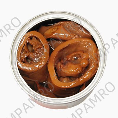 002868 SQUID SEASONED