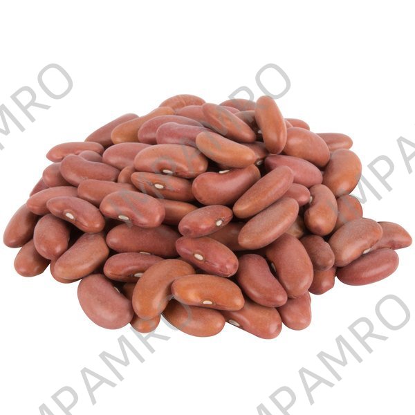 003206 BEANS KIDNEY LIGHT RED DRY