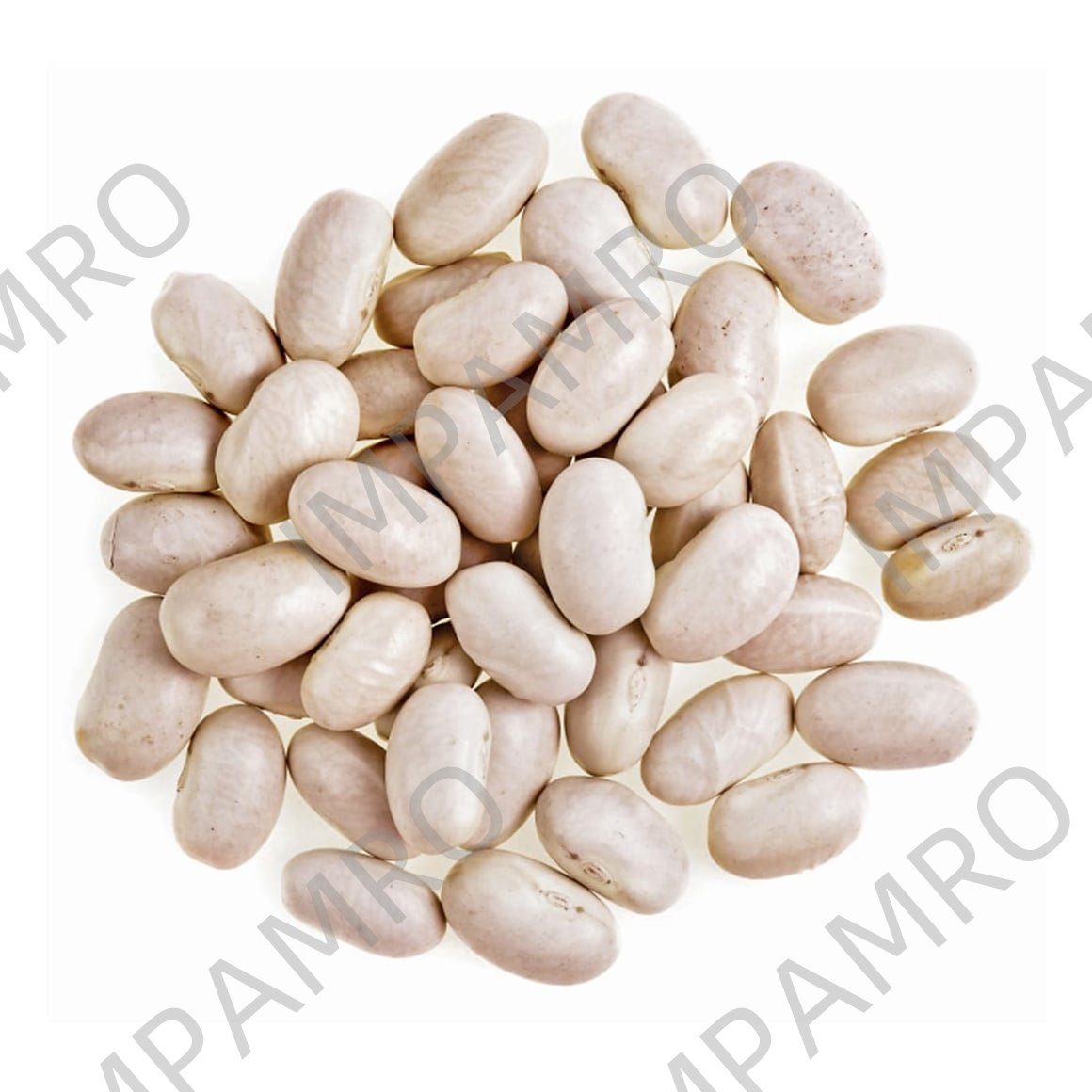 003215 BEANS WHITE LARGE DRY