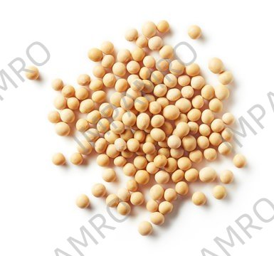 003212 BEANS SOY DRY